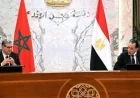 أخنوش يؤكد أن لجنة التنسيق والمتابعة المصرية المغربية تعزز شراكة استراتيجية قوية