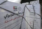 صور وصول طائرة مساعدات إماراتية إلى العريش محملة بـ100 طن لدعم غزة