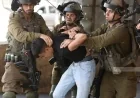 قوات الاحتلال تواصل اعتقال 28 فلسطينيا في مختلف مدن ومحافظات الضفة الغربية