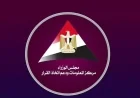 مركز المعلومات يكشف عن تقرير “فيتش” حول آفاق الاستثمار الأجنبي المباشر في مصر
