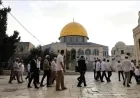 استمرار اقتحام المسجد الأقصى من قبل المستوطنين برفقة قوات الاحتلال الإسرائيلي
