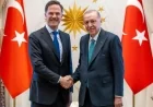 رئيس وزراء هولندا روته يتناول استعدادات قمة الناتو ويثني على الدور الحيوي لتركيا في الدفاع
