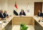 نائب وزير الصحة يناقش مع اتصالات مصر وSTM تحويل القطاع الصحي إلى الرقمنة