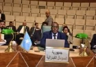 دول الجامعة العربية تندد بتعيين إسرائيل مبعوثًا إلى إقليم أرض الصومال