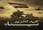 نساء مصر تحتفلن بعيد تحرير سيناء ويدعمن الحفاظ على كل شبر من أرض الوطن