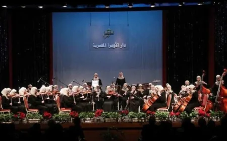 حفل مميز لأوركسترا النور مع عمرو سليم على المسرح الصغير الليلة