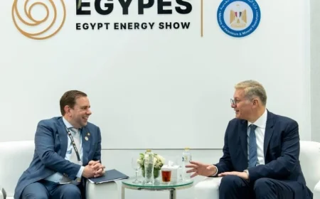 وزير البترول يتعاون مع مسؤولي شل لتعجيل خطط استكشاف وإنتاج الغاز الطبيعي في مصر