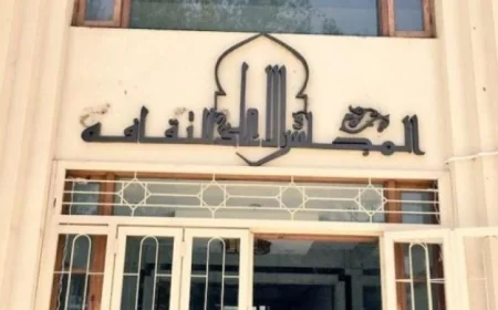 المجلس الأعلى للثقافة يكشف عن التشكيل الكامل للجانه النوعية وتعزيز دورها الثقافي