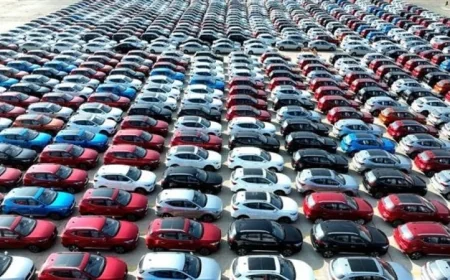 حصيلة مزاد جمارك مطار القاهرة تصل إلى 70.8 مليون جنيه من بيع بضائع وسيارات متنوعة