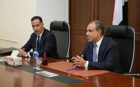 عبدالعاطي يبرز التزام الخارجية بتوفير أفضل رعاية للمصريين المقيمين بالخارج