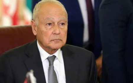 أبو الغيط يؤكد أهمية التعاون بين الجامعة العربية والمجلس كركيزة لمواجهة التحديات الكبرى