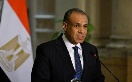 وزير الخارجية يؤكد التزام مصر بتنفيذ الإصلاحات الاقتصادية وتعزيز بيئة الاستثمار