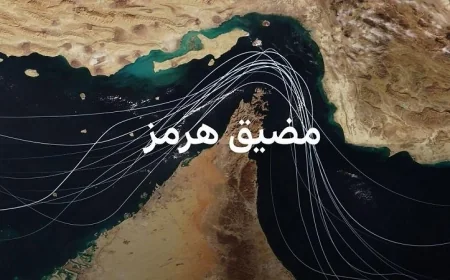 سفينة مالطية تديرها شركة فرنسية تعبر مضيق هرمز في ظل تراجع حاد للملاحة البحرية