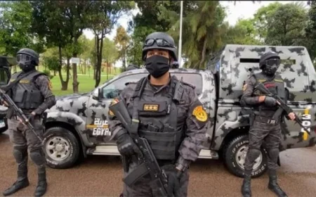 الأمن العام يحقق إنجازات كبيرة بضبط 193 سلاحا ناريا و454 قضية مخدرات وتنفيذ 84 ألف حكم قضائي