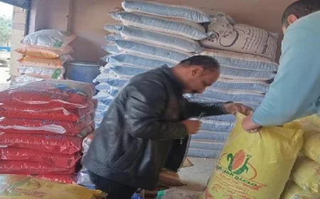 محافظ الغربية يعزز الرقابة التموينية ويكشف عن تحرير 46 مخالفة وضبط 37 شيكارة دقيق