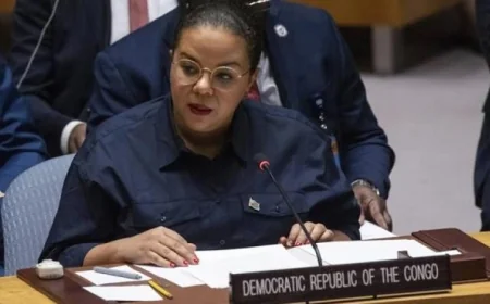 محادثات دبلوماسية مثمرة بين الكونغو الديمقراطية والولايات المتحدة لتعزيز جهود السلام