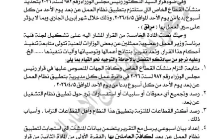 وزير العمل يطلق كتابا دوريا لتفعيل العمل عن بعد في القطاع الخاص