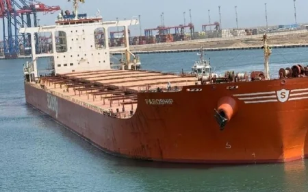 ميناء شرق بورسعيد يستقبل أكبر سفينة صب جاف في تاريخ المنطقة