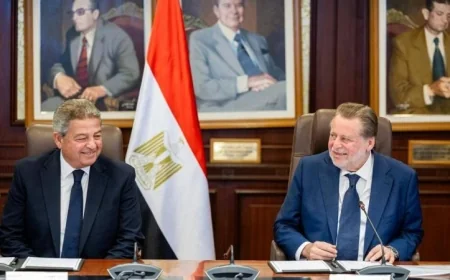 تعاون جديد بين البنك المركزي والمجلس الأعلى للإعلام لتنظيم المحتوى الرقمي