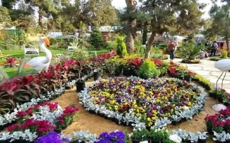 افتتاح معرض زهور الربيع بالمتحف الزراعي يوم الأحد احتفالا بشم النسيم بانطلاقته الجزئية