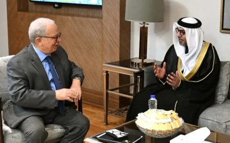 نائب رئيس الوزراء للشئون الاقتصادية يكشف عن فرص رائعة لبناء شراكات استراتيجية مع الإمارات