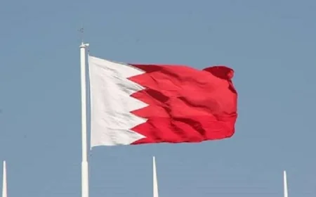 دفاع البحرين يعلن عن إسقاط وتدمير 9 طائرات مسيرة في غضون 24 ساعة