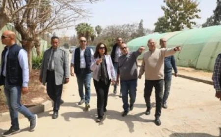 مرضى السكري معرضون للإصابة بالخرف بمعدل مرتين أكثر