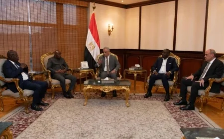 وزير الدولة للإنتاج الحربي يناقش مجالات التعاون مع وفد جمهورية إفريقيا الوسطى