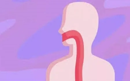 مريء معملي مبتكر ينمو مع الجسم لتحقيق النجاح في الزراعة الطبية