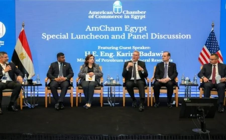 بدوي يؤكد أن المحفزات أدت إلى إنعاش استثمارات الغاز والبترول في البحث والإنتاج