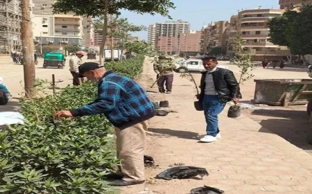 زراعة 210 شتلات متنوعة في مطاي وبني مزار بالمنيا لتعزيز التنوع البيئي