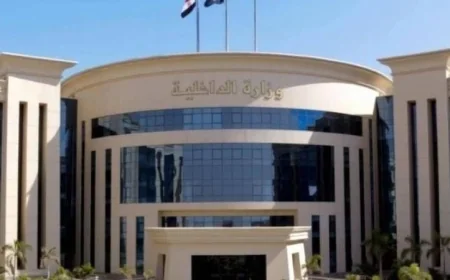 القبض على شخص في القاهرة بتهمة الاستيلاء على أموال باستخدام ثغرة تقنية في أحد التطبيقات