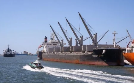 تداول 28 سفينة حاويات وبضائع عامة في ميناء دمياط خلال 24 ساعة