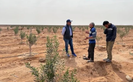 مركز بحوث الصحراء في وزارة الزراعة يرصد المحاصيل الاستراتيجية في سيناء قبل موسم الحصاد