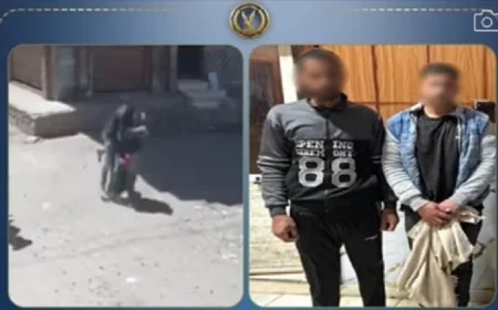 تفاصيل جديدة حول فيديو استغاثة سيدة من خطف طليقها وشقيقه لنجليهما