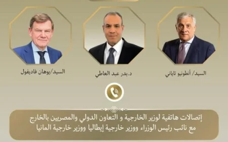 وزير الخارجية يناقش مع نظيريه الألماني والإيطالي تطورات الأوضاع في المنطقة