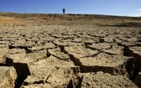 دراسة جديدة تكشف علاقة الجفاف بتسريع مقاومة البكتيريا للمضادات الحيوية