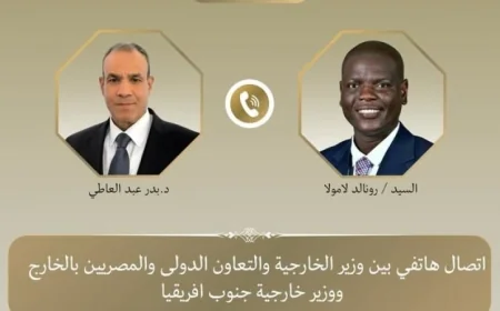 وزير الخارجية يناقش مع نظيره الجنوب إفريقي آخر تطورات الأوضاع في الشرق الأوسط