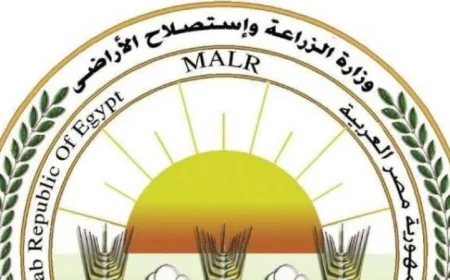 الزراعة تعزز جهودها الرقابية على أسواق الأسماك المملحة لضمان الجودة والسلامة