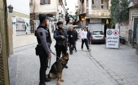 الداخلية السورية تكشف عن إحباط مخطط تخريبي بدمشق وتعتقل خلية إرهابية مرتبطة بجهات خارجية