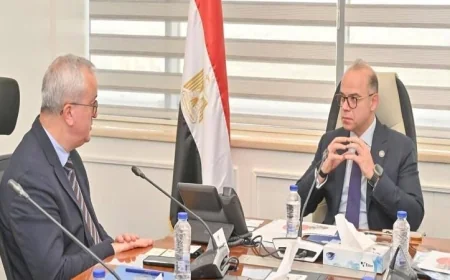 وزير الاستثمار يتفاوض مع شركة ألستوم لإقامة أول مصنع لمكونات الكهرباء المستخدمة في القطارات