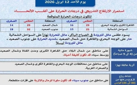 الأرصاد تحذر من ارتفاع تدريجي في درجات الحرارة غدا والعظمى في القاهرة تصل إلى 29 درجة