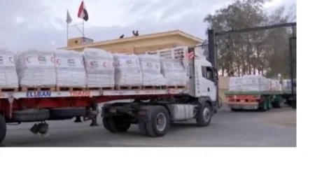 قافلة زاد العزة 174 تصل إلى غزة لدعم الشعب الفلسطيني