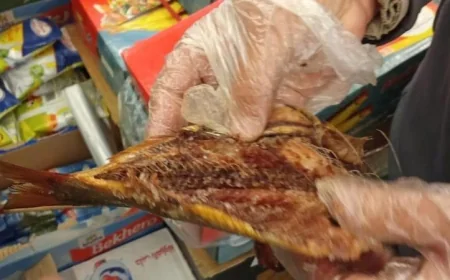 الزراعة تكشف عن ضبط 71 طن من الأسماك المملحة الفاسدة قبل احتفالات شم النسيم