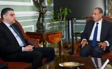 وزير الخارجية يعلن أن قطاع الدواء يمثل أساس تعزيز التعاون مع الدول الإفريقية