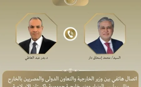 وزير خارجية مصر ووزير خارجية باكستان يتباحثان حول تطورات الوضع الإقليمي الراهنة