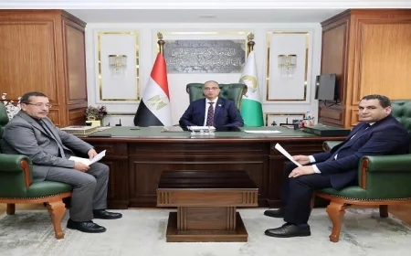 محافظ الجيزة يراقب جاهزية موسم حصاد القمح المحلي وتوريده