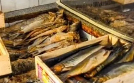 إحباط تهريب 14 طن من الأسماك المدخنة والمملحة المجهولة المصدر في القاهرة والدقهلية والغربية
