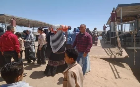 محافظ المنيا يطالب بتعزيز الرقابة على المعديات النهري ومراجعة التراخيص لضمان السلامة العامة