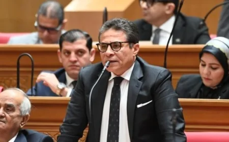 الخولي يؤكد أن توجيهات الرئيس حول قوانين الأسرة تعكس رغبة قوية في إجراء إصلاح تشريعي شامل